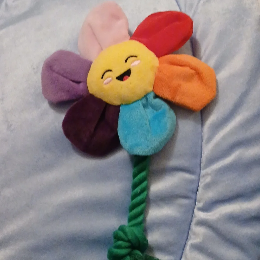 2/$5 Petals the Flower